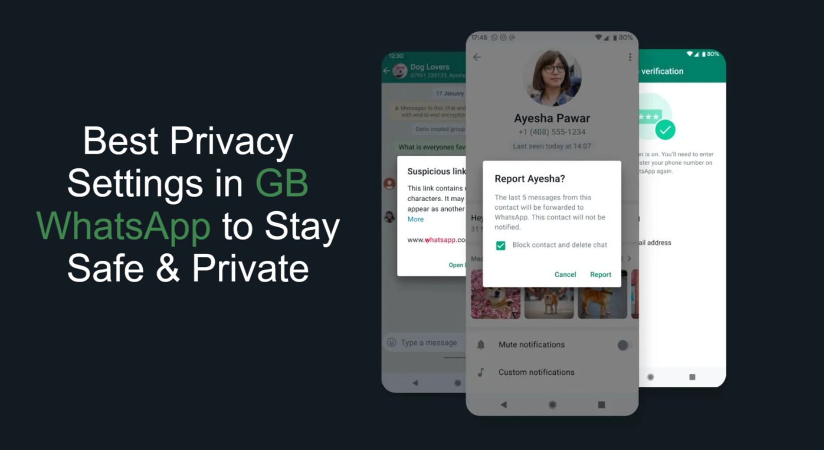 GB WhatsApp Privacy Settings
